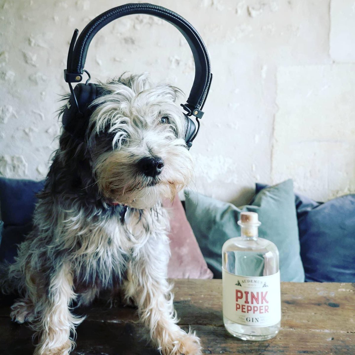 Also enjoyed by #pinkpepperlouis

#pinkpepperpeople #love #creativity #gin #music