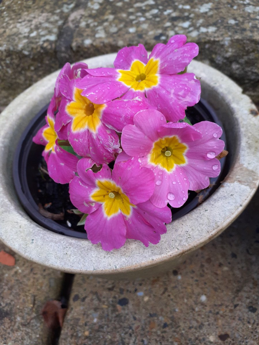 Pleasure in a pot.
<a href="/oadbyfsf/">Community Harmony Scarf</a> <a href="/BuddhiByM/">Buddhi</a> <a href="/ghani1_a/">Ashma Ghani</a>