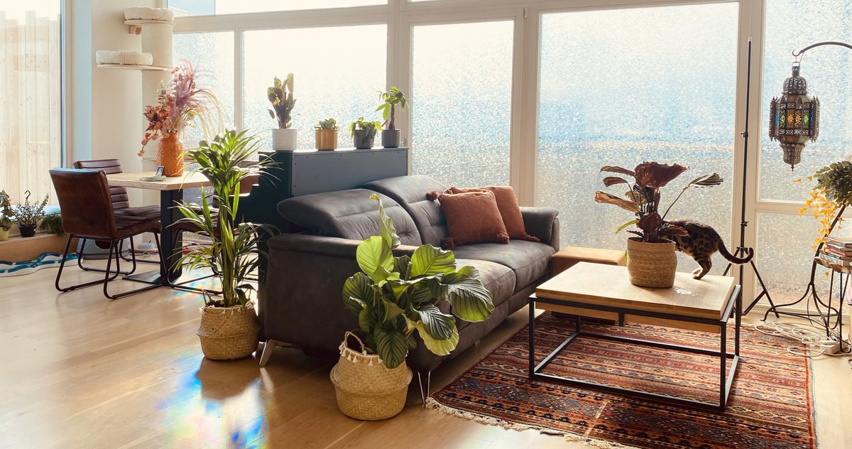 Anni The Duck tweet media