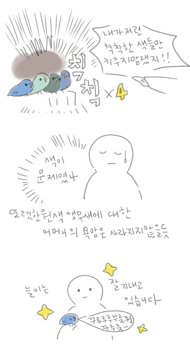 저도 앵무새라고 하면 노랑 빨강 초록 원색의 트로피컬 컬러만 떠오르던 때가 있었죠?사실 얘네들...어두워서 잘 안보여요... 