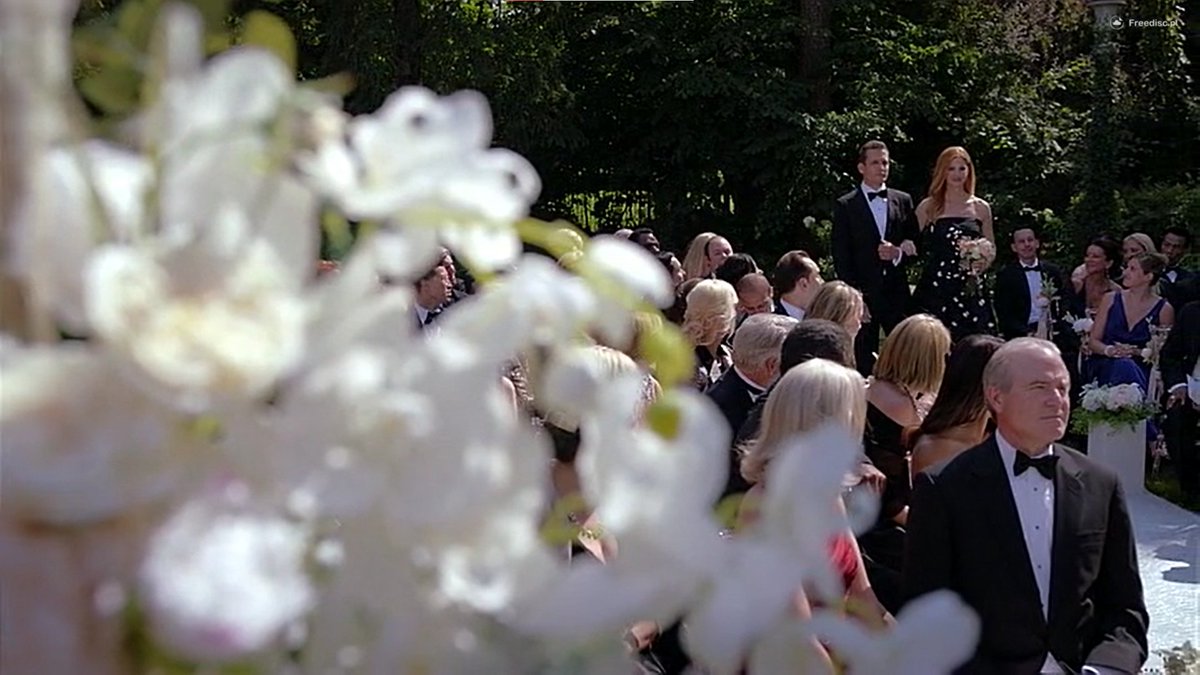 ciasstkoo's tweet image. AAAAAAAAAAAAAAAAAAAAAAAAAAAAAAA
#suits #suits9