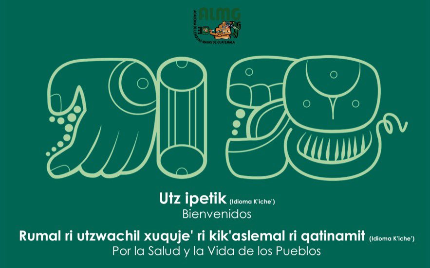 #InternationalMotherLanguageDay
#LatinAmerica is unique in having the largest # of linguistic families [99]. #Brazil, 200+ languages. 
#Mexico, 69 #NationalLanguages; #Colombia, 69; Peru, 49; Bolivia, 37; Guatemala, 25; Ecuador, 15...Can 1 Latin Americanist cover it all?! I wish.