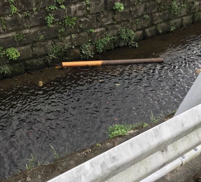 川にどでかいポッキーが出現！そのでかさに二度見ｗｗｗ