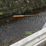 川にどでかいポッキーが出現!そのでかさに二度見!