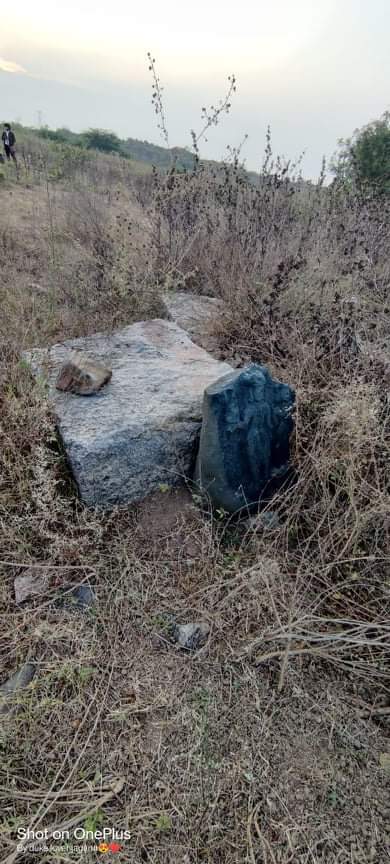 poetryinstone's tweet photo. Friends , need support to amplify this messg have ASI @MinOfCultureGoI  to check the 9-10th CCE  Surya temple in Telangana Naalgonda district.  Lot of exposed sculptures n pillar ruins  @DrTamilisaiGuv @sanjeevsanyal @gchikermane @sangamtalks @myindmakers @amargov https://t.co/lxmGxpfnoR