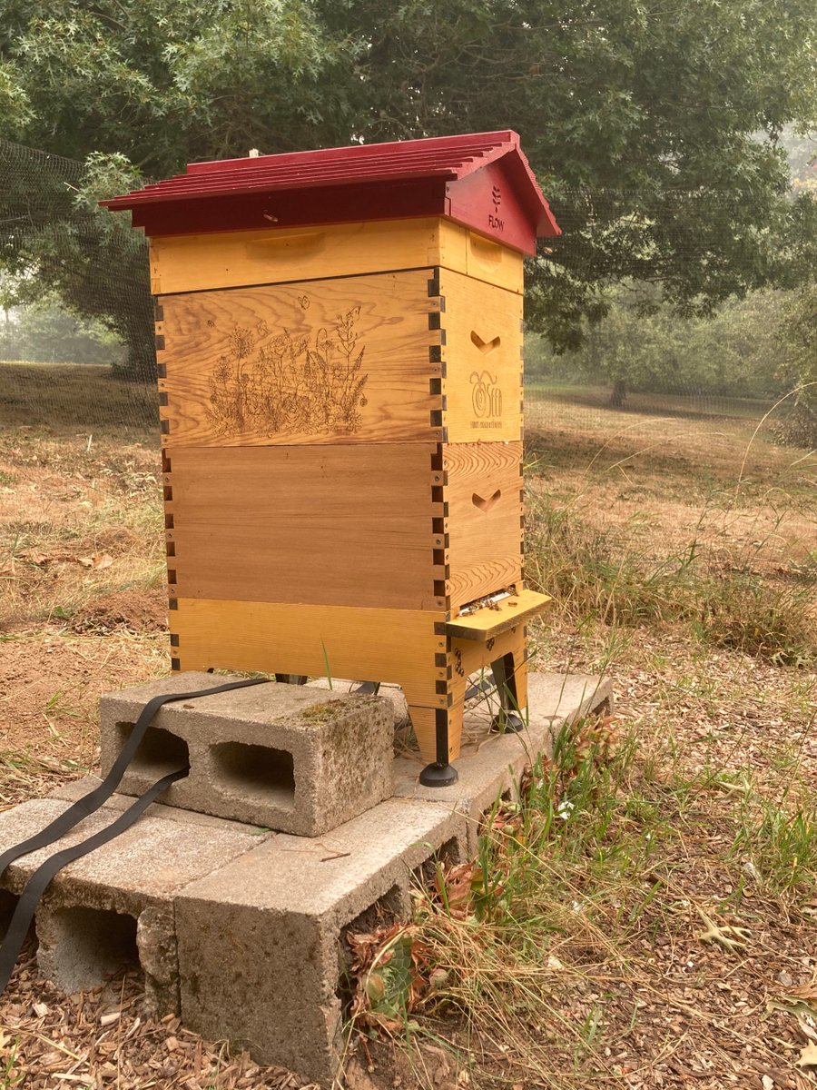 WatzekLibrary's tweet photo. #WatzekLibrary's new student photography exhibition, Alone Together, is now also available digitally! https://t.co/eBaLTe263O We're celebrating with a new photo a day through this week. Today's featured photo: "Apiary," by Mateo Kaiser '23. https://t.co/4vpj6kQYU2