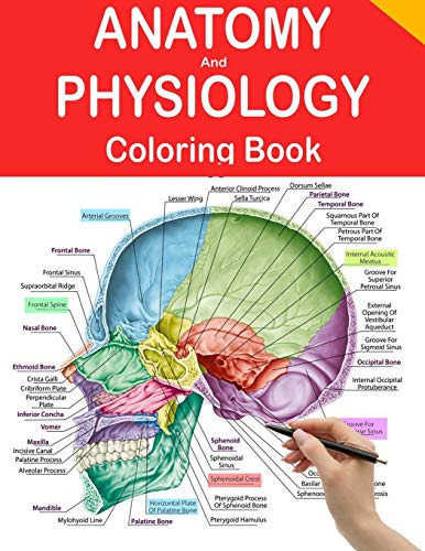 Download Pdf Free Anatomy And Physiology Coloring Book Human Anatomy Colo