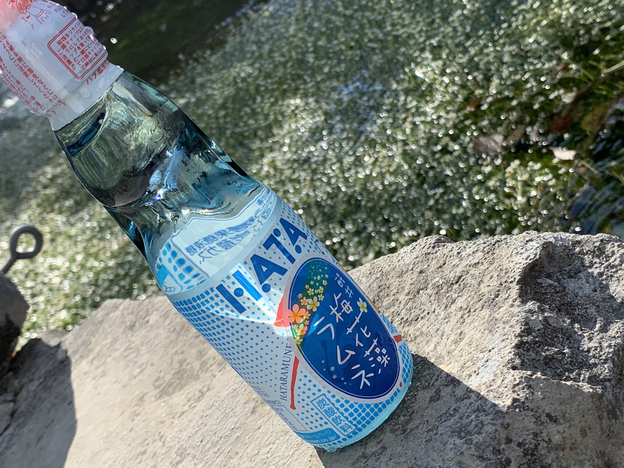 ご当地炭酸愛好会 Gotouchi Cider Twitter