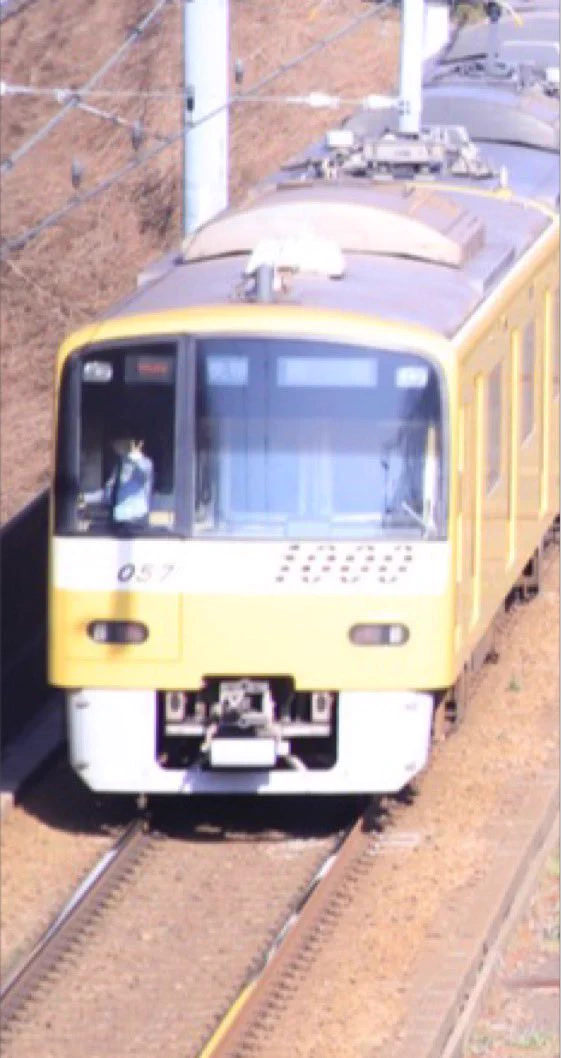 カメラで桜と電車を撮ってみると？車掌がノリノリで写っていたwww