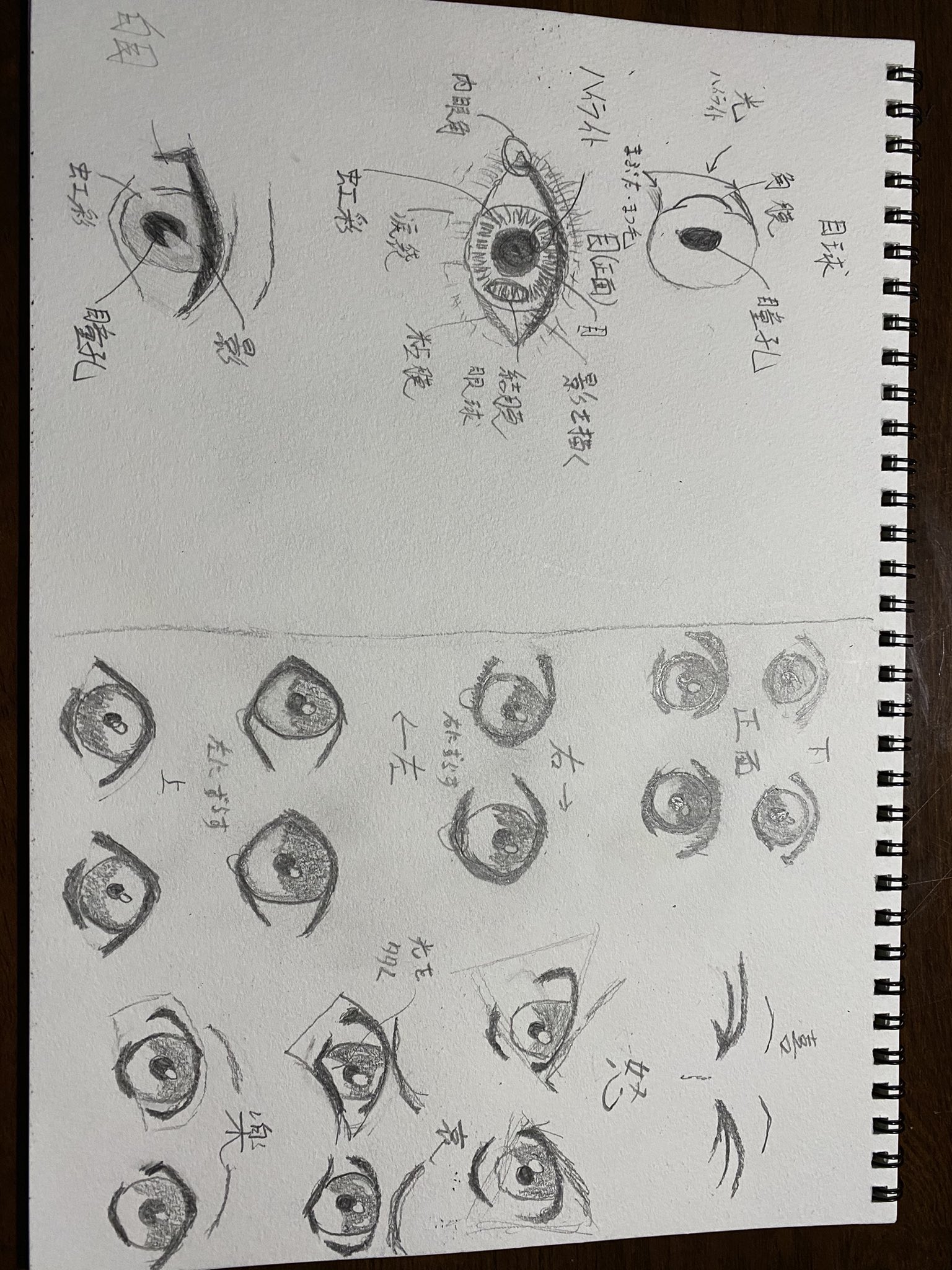 Mr 鉛筆boy 鉛筆画 またまた苦手な目の練習 新しい発見があるって楽しい 今日も良く頑張ったで賞あげたいw 学び 1 目の構造をりかいする 2 影と光を入れる 3 左右上下 喜怒哀楽で目の形 光が違う 絵描きさんと繋がりたい イラスト王国 イラスト好き