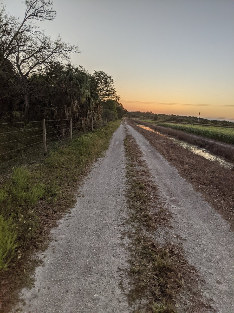 philwinkle's tweet image. Yesterday I ran 61.88 miles through mud, muck, water, tall grass, sand dunes, and miles upon miles of winding singletrack, finishing with my feet in the ocean 14 hours 33 minutes at 9:10pm.

Along the way I nabbed top-10 in sections of the trail on Strava.

Dream come true.