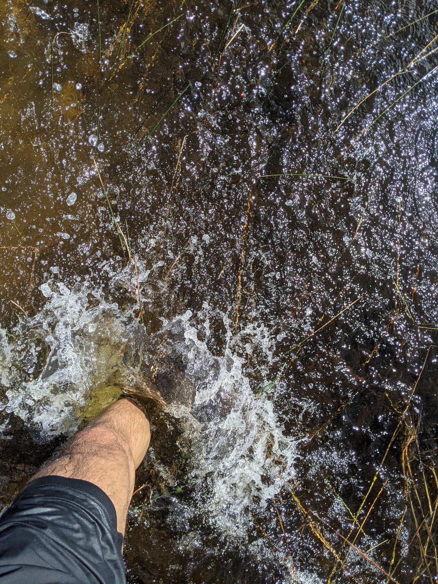 philwinkle's tweet image. Yesterday I ran 61.88 miles through mud, muck, water, tall grass, sand dunes, and miles upon miles of winding singletrack, finishing with my feet in the ocean 14 hours 33 minutes at 9:10pm.

Along the way I nabbed top-10 in sections of the trail on Strava.

Dream come true.