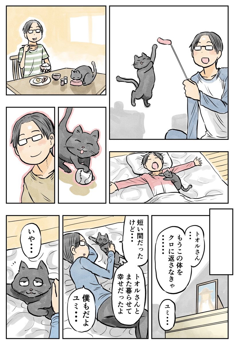 さいごの一週間
#猫の日 