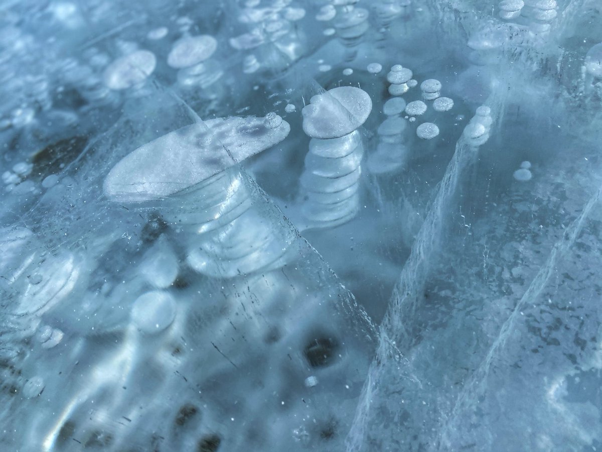 cnmbdashabi's tweet photo. Beautiful #bubblelake 2021 https://t.co/W1fSo2sdEQ