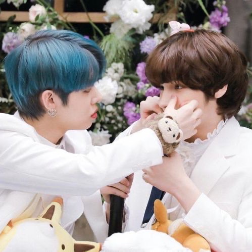 haremcyj's tweet photo. baby just say yes https://t.co/1ak60kj6ax