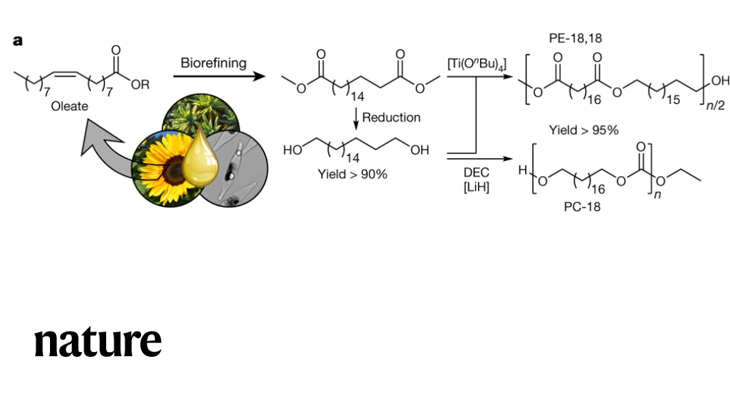 Research published in Nature reports a fully recyclable polyethylene-like plastic made from sustainable sources. go.nature.com/2Zvb9hE