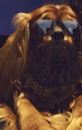 conscience_dark's tweet image. Coming soon #petprojects, a new 3P capturing 3 decades of music, #60, a 60 second poprock song from the ‘60’s; #stormthecapitol, a ‘70’s influenced #punkrock song about civil unrest and ‘80’s synthpop hit #intheairtonight #darkconscience style - all instrumentals