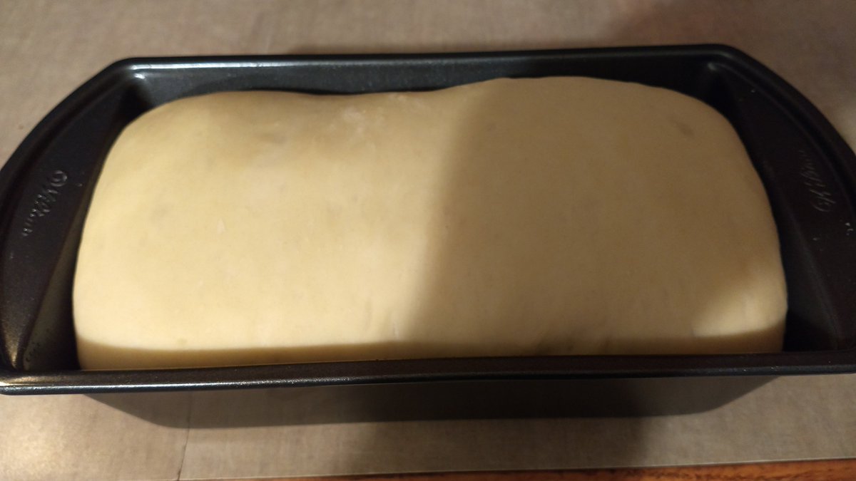 CurtisLStevens's tweet photo. Navigating the art and science of baking bread this weekend. I have forgotten how great homemade bread tastes. I found this novice recipe on youtube. https://t.co/LeL9TpHNUe