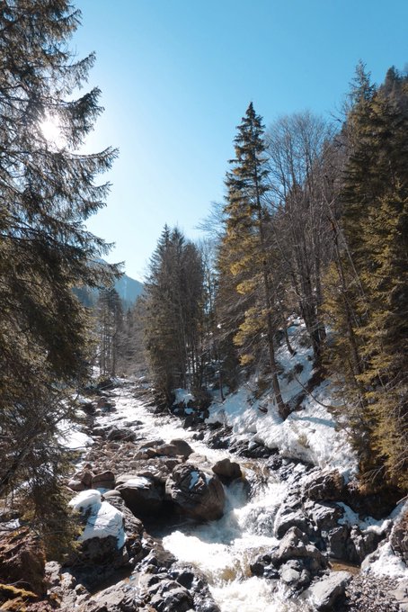 2 pic. Some happy moments from today’s nature trip! I love my new home ? https://t.co/B6kyq7hK9K
