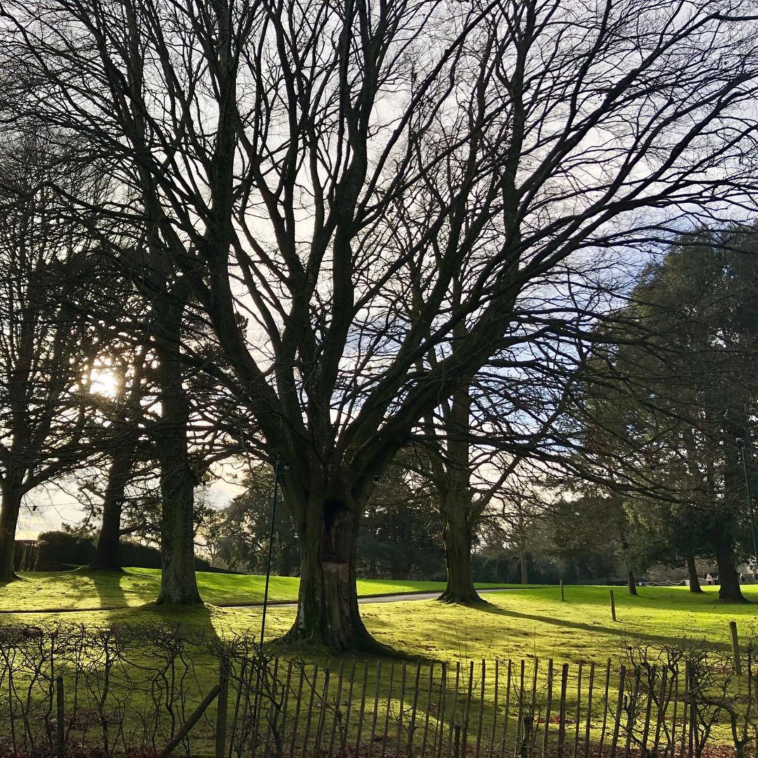 philipp_collins's tweet image. what a gorgeous Sunday in February 🌞 15 degree * it feels even warmer in the sun