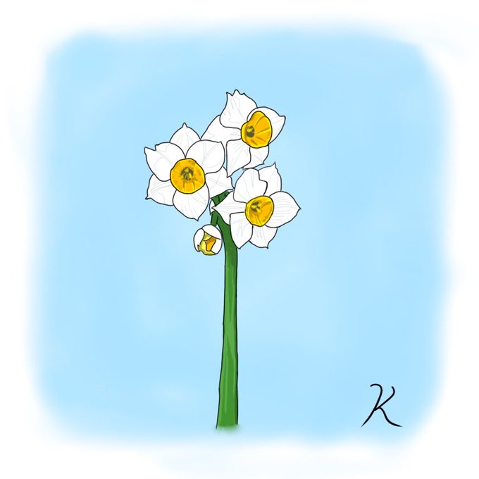 スイセンのtwitterイラスト検索結果 古い順 スイセンのtwitterイラスト検索結果 古い順