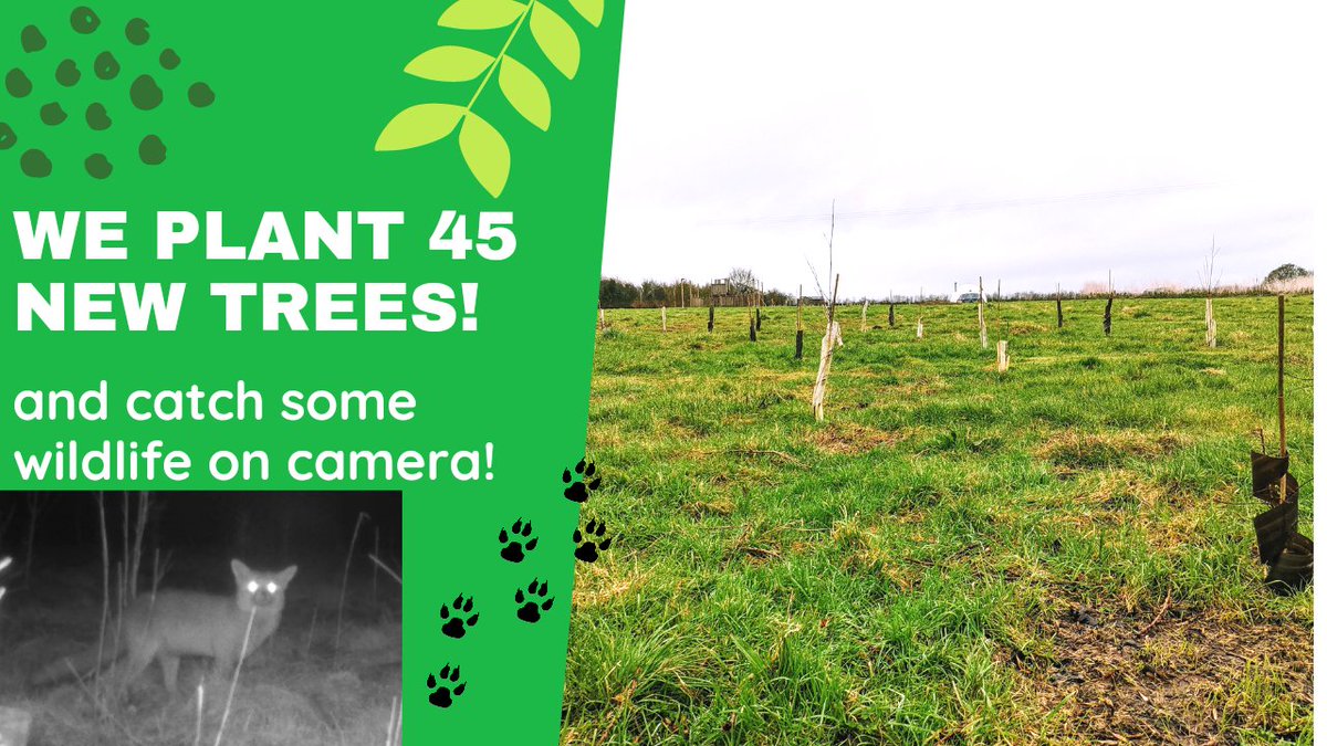 The weather here has been shocking which means we haven't been able to build the dome yet 😭
So we decided to plant some more trees🌳 &amp; help offset our carbon footprint.
We would love you to check out the vid &amp; subscribe if you get a sec #YouTube
#SaveThePlanet #planttrees