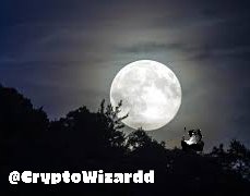 CryptoWizardd's tweet photo. $ocean to $2 or the market is wrong

⏰🚀

SEND IT https://t.co/acdAuG6qW2