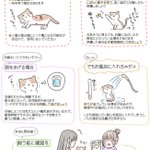 子猫を保護したときにやるべきことや、猫を飼うのに必要なもの、などなど!知っておきたい猫のあれこれ!