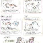 子猫を保護したときにやるべきことや、猫を飼うのに必要なもの、などなど!知っておきたい猫のあれこれ!