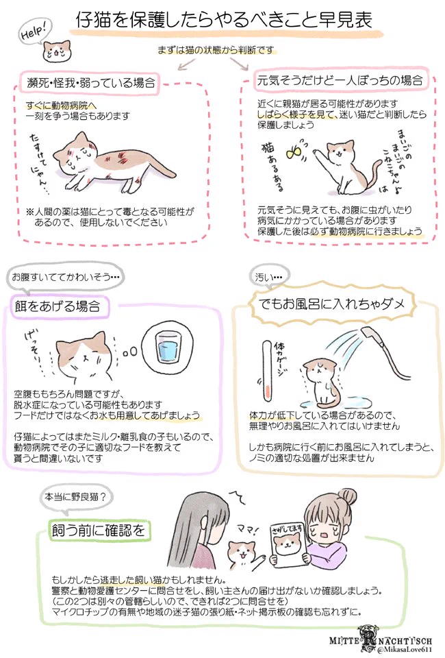 子猫を保護したときにやるべきことや、猫を飼うのに必要なもの、などなど！知っておきたい猫のあれこれ！