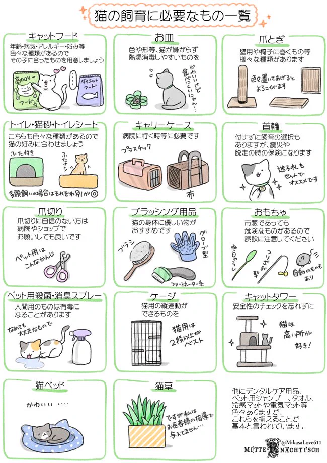 子猫を保護したときにやるべきことや、猫を飼うのに必要なもの、などなど！知っておきたい猫のあれこれ！