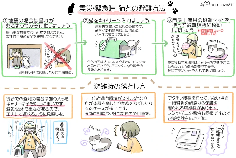 子猫を保護したときにやるべきことや、猫を飼うのに必要なもの、などなど！知っておきたい猫のあれこれ！