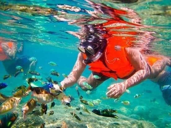 GuideTrisna's tweet photo. Yg suka snokling dan cipika cipiki sma ikan laut bisa hubungin langsung ya ke nomor ini 081917781107
Dan bisa tanya2.. https://t.co/oqdEbIbq72