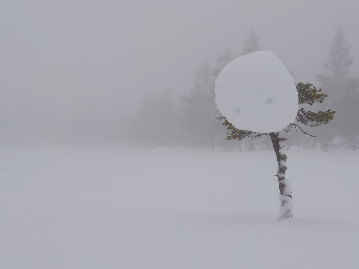 Some proper Tales from the loop vibes in the outskirts of Oslo today. #talesfromtheloop 
 <a href="/simonstalenhag/">Simon Stålenhag 🐀</a>