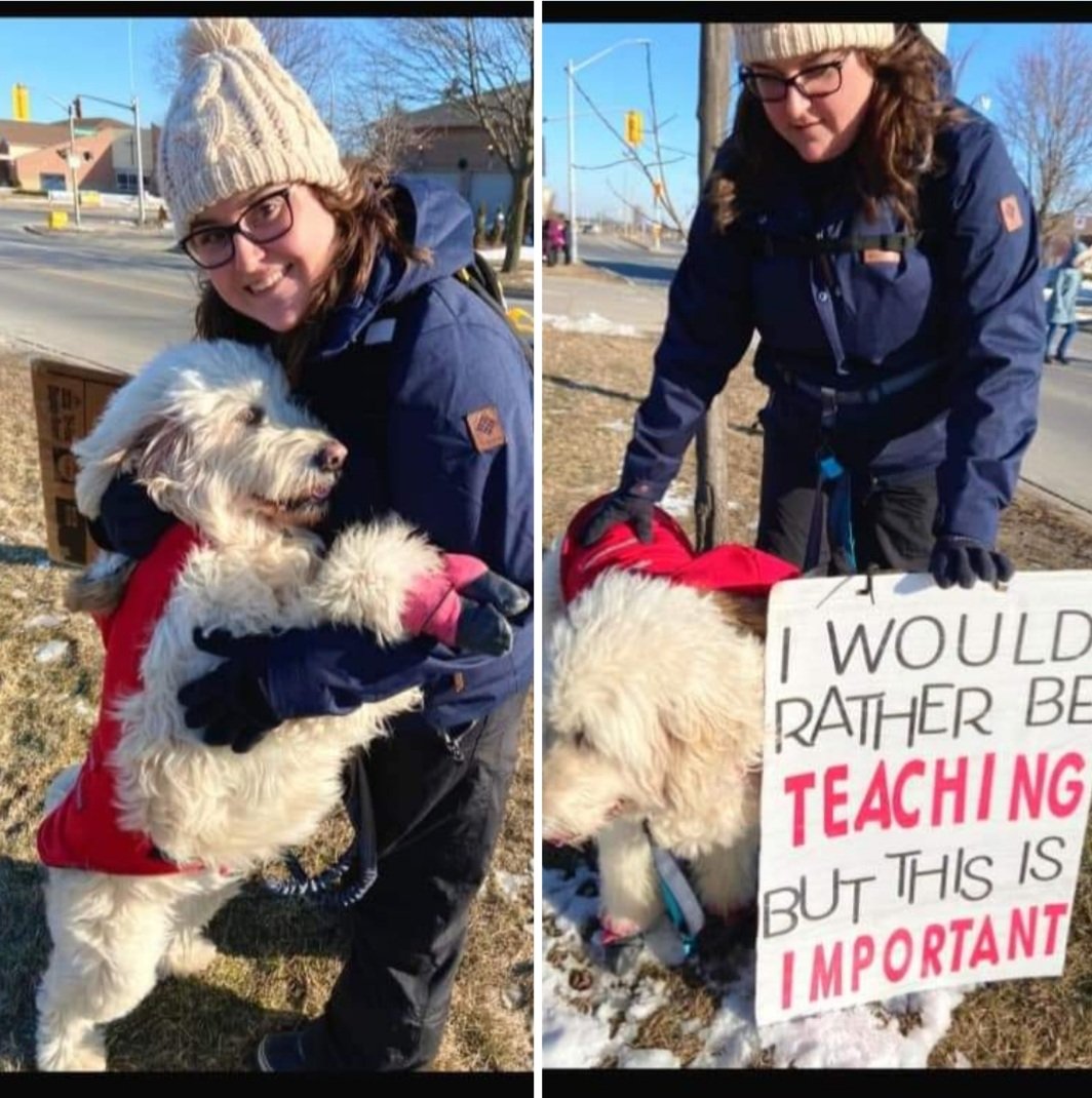 glimpseofteach's tweet photo. It is crazy to me how much has changed since this time last year! This was a wild ride but worth every step on the picket line. Teachers are still fighting or their personal and student safety though. #onted #ontedstrike #safeschools https://t.co/N0uEjqKbL0