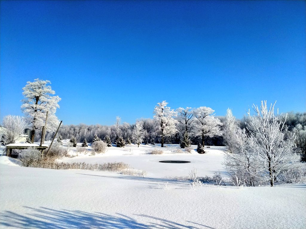 JameyFarms's tweet image. Crispy and beauty of a morning! -17C, no wind. Cleaned entrances for my other 6 hives. Each hive was buzzing. #winterbees #honeybee