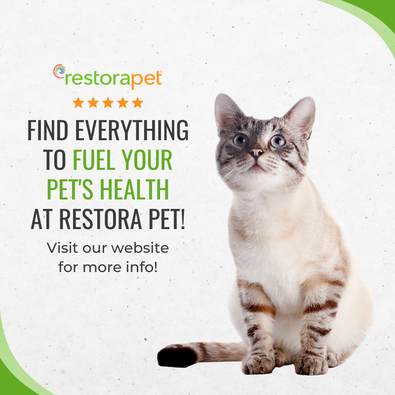 RestoraPet tweet media