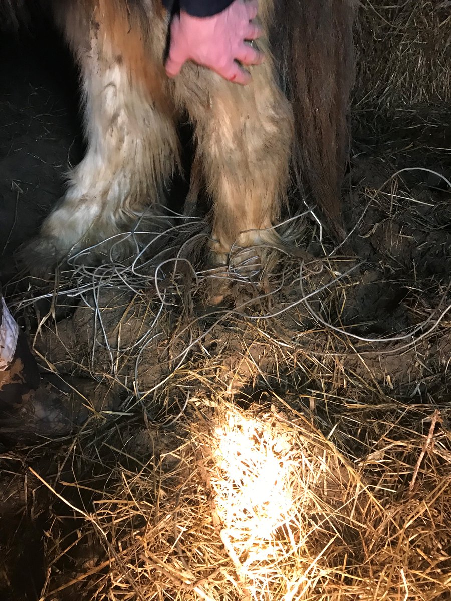 Northamptonshire Fire & Rescue tweet media