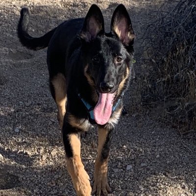 Calihawk's tweet image. #NewProfilePic