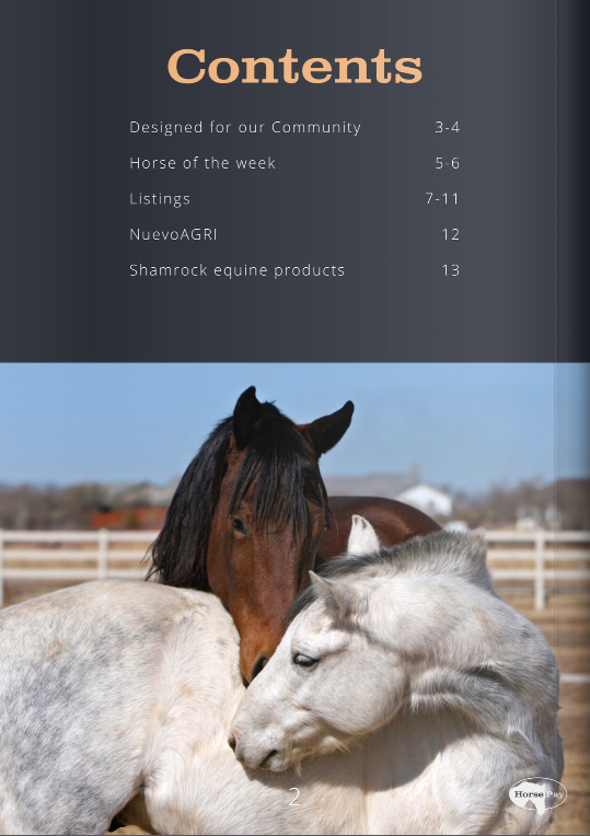 HorsePay's tweet photo. Our Favourite times of the week. Here is HorsePay Weekly Edition Four: https://t.co/vVFMgrDsip. We had some excellent new listings uploaded this week of https://t.co/aldYOYdjiu. We have some exciting News we'll be sharing tomorrow or Tuesday so keep an eye out for it here online https://t.co/igoIf8IY1x