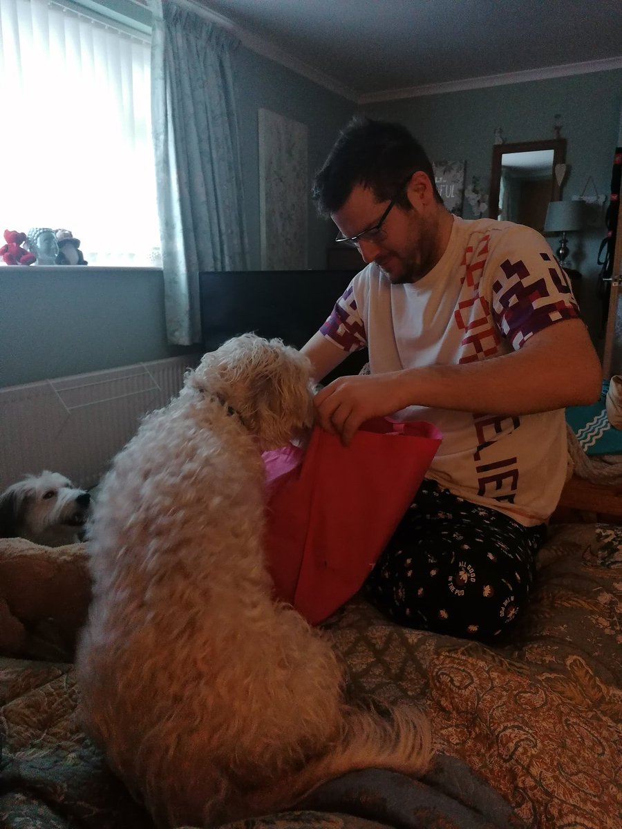 ArchieBall25's tweet image. It's me hoooooman bruvver @MaxBallVA Burfday vis week n he'll be 240 dog years old.  We doin pwesents orl week