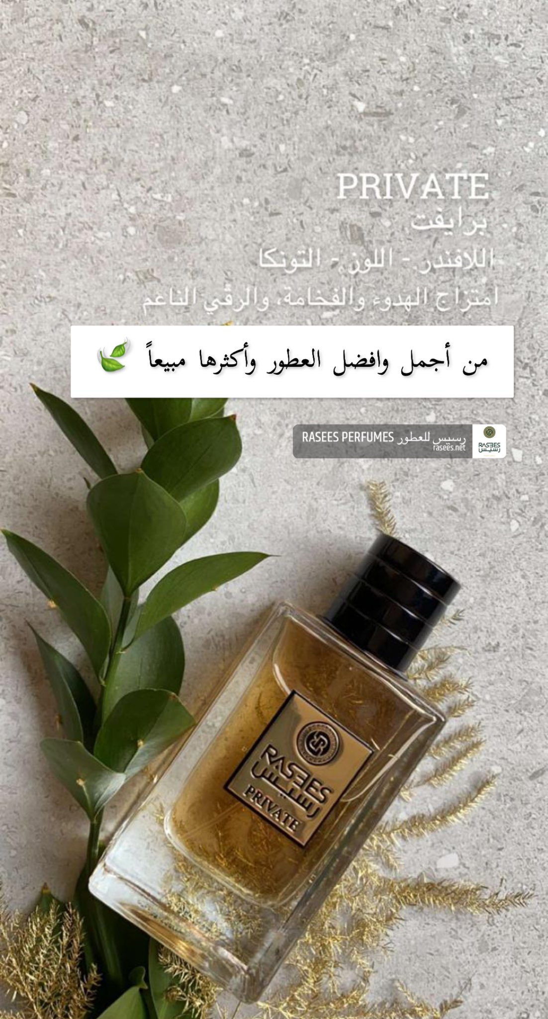 أجمل عطور رسيس