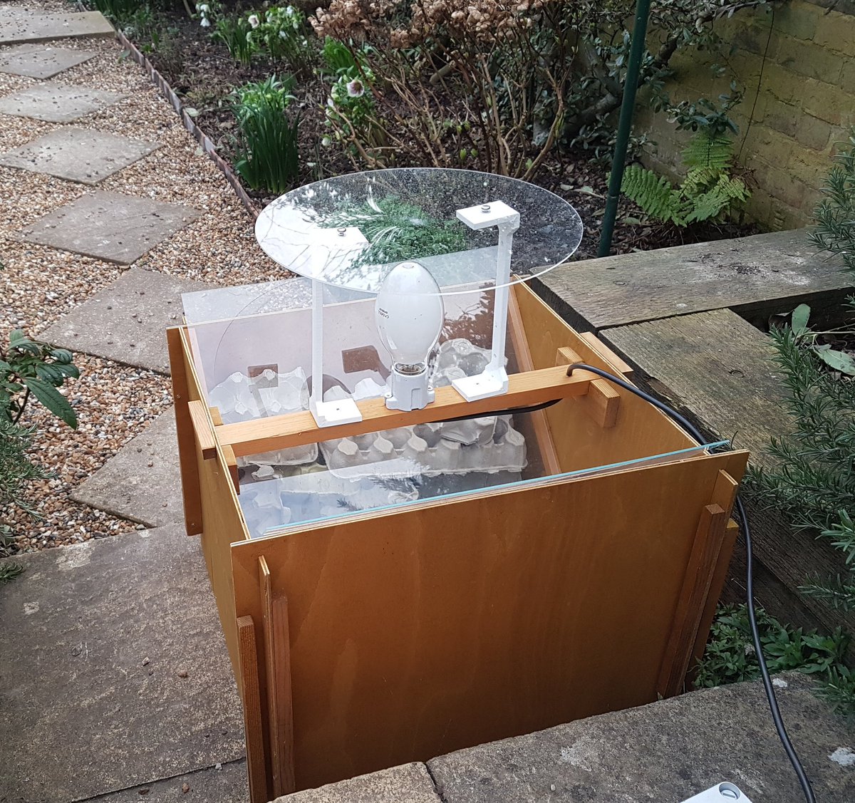 ChrisCorrigan3's tweet photo. Seen my first #butterfly of the year so time for my first garden #moth trapping! #superoptimistic! https://t.co/soE6gEnXPg