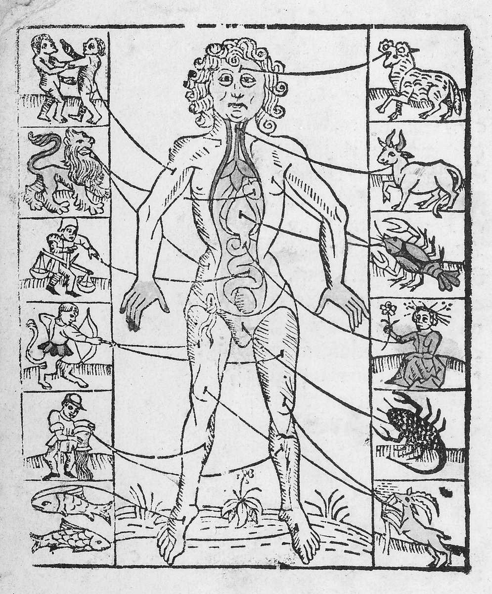 JeffreyKotyk's tweet photo. The nakṣatra-puruṣa (lunar mansion figure) was transmitted to China around mid-eighth century from India. This is similar to the "zodiac man" (widely seen in Europe and Persia), in which each part of the body is connected to a sign (pics from Wellcome Collection). https://t.co/wUgDXmhabf