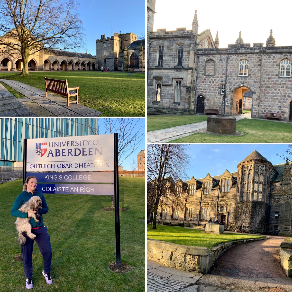 Isabella Kasselstrand tweet media