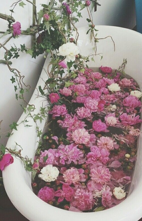 lavieestbelIe's tweet photo. https://t.co/m8QXlEL1TW