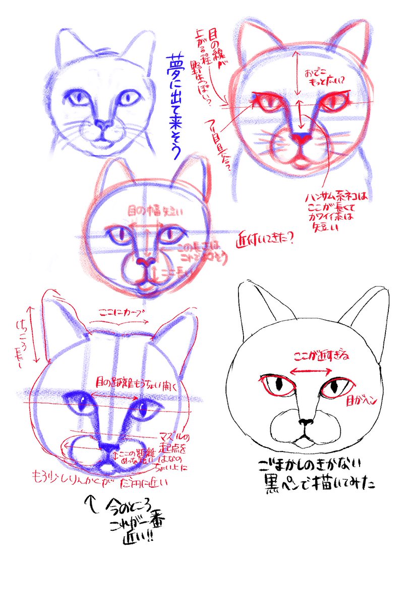 今日は初めて漫画一日1ページを呟けなかった...😭
免罪符として
苦戦している猫の練習画をUPしておきます。
描けば描くほど化け猫に近づいていく恐ろしいジレンマ。何でネコ、魔界にすぐ取り込まれてしまうん...?
個別アドバイスをいただいた面白いポーズのデッサンも続けます!
#コルクマンガ専科