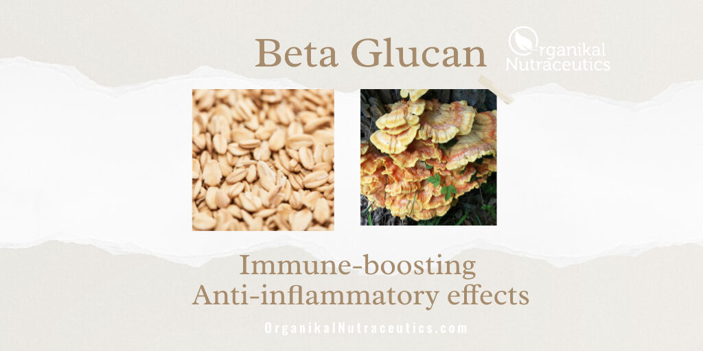 Beta Glucan” is a term used to describe a group of indigestible carbohydrates that are known to have immune-boosting &amp; anti-inflammatory effects
Good source come from medicinal mushrooms, such as Lion's mane, maitake, reishi, shimeji, &amp; cordyceps militaris
organikalnutraceutics.com