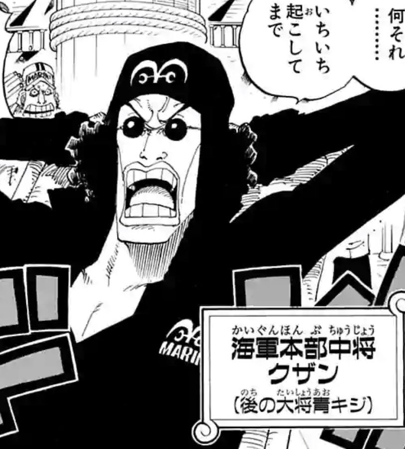 ワンピース 青キジ クザン が革命軍に加入 目的についても考察 Selvy
