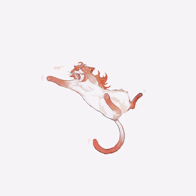 にゃこ 